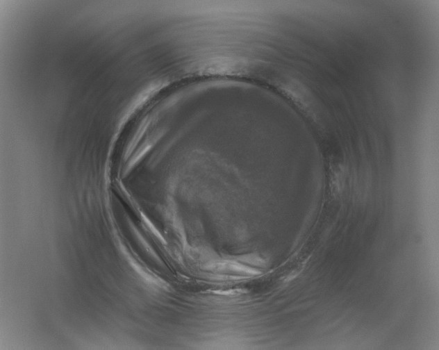 X0000062170678200512231627