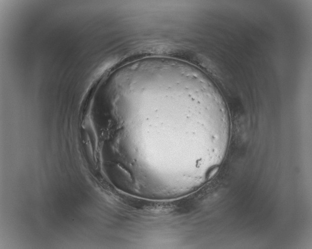 X0000062170679200512231627