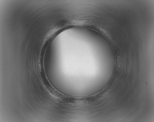 X0000062170682200512231627