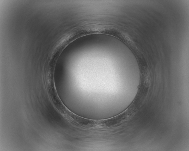 X0000062170683200512231627