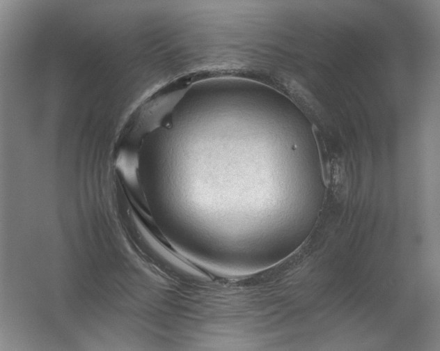 X0000062170684200512231627