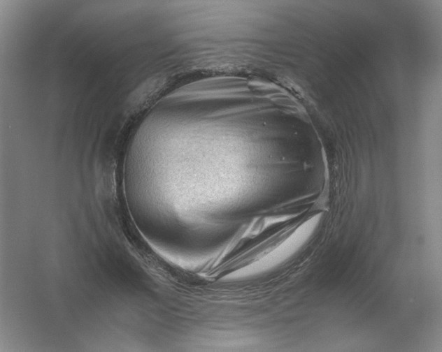 X0000062170685200512231627