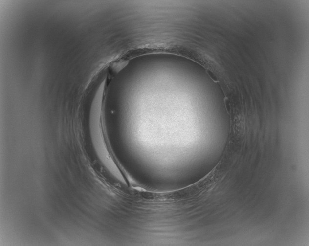 X0000062170688200512231627