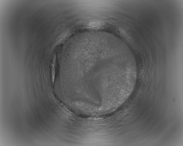 X0000062170689200512231627