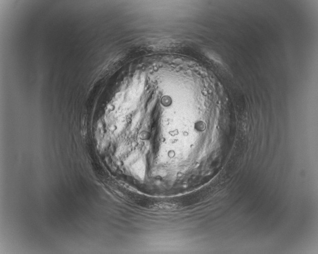 X0000062170691200512231627