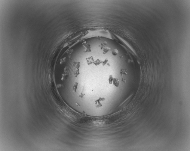 X0000062170692200512231626