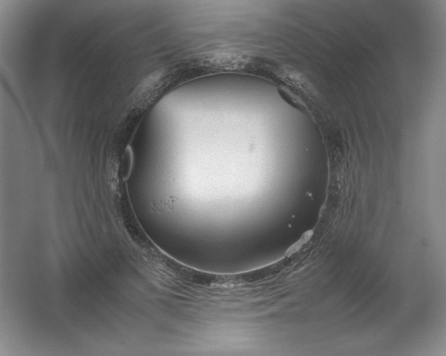 X0000062170693200512231626