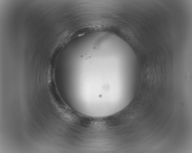 X0000062170694200512231626