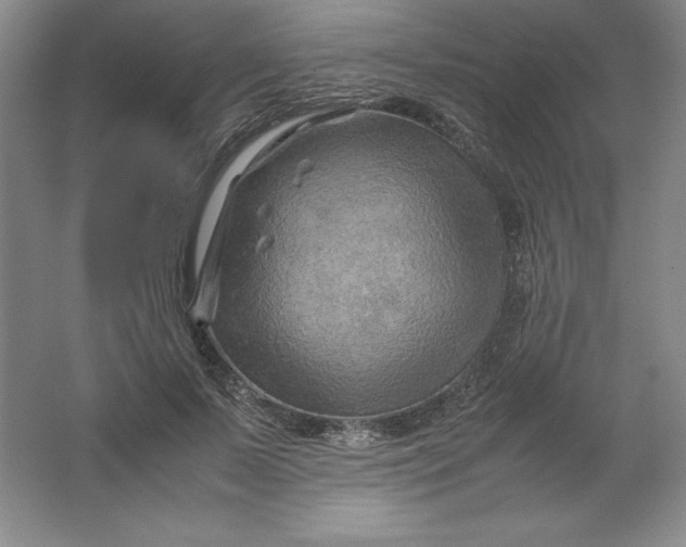 X0000062170695200512231626