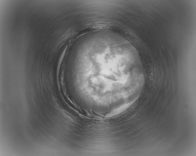 X0000062170696200512231626