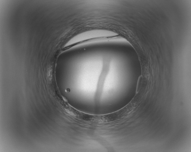 X0000062170697200512231626