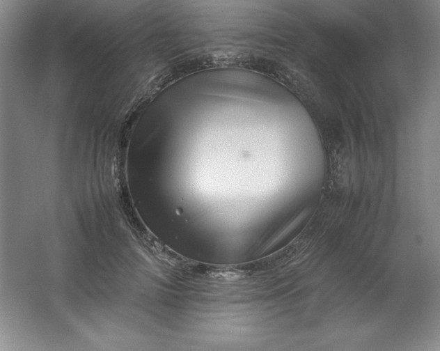 X0000062170698200512231626