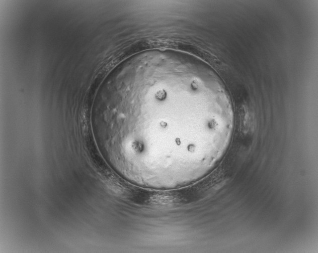 X0000062170699200512231626