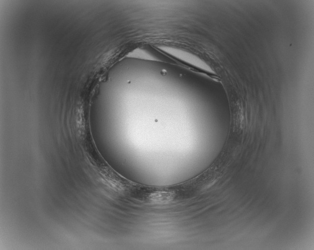 X0000062170700200512231626