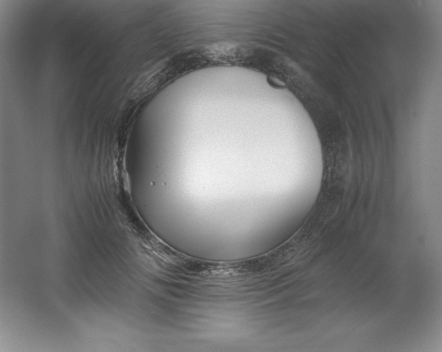 X0000062170702200512231626