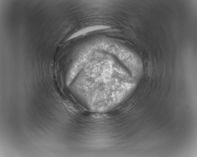 X0000062170712200512231626