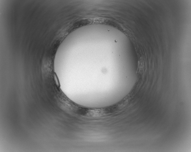 X0000062170713200512231626