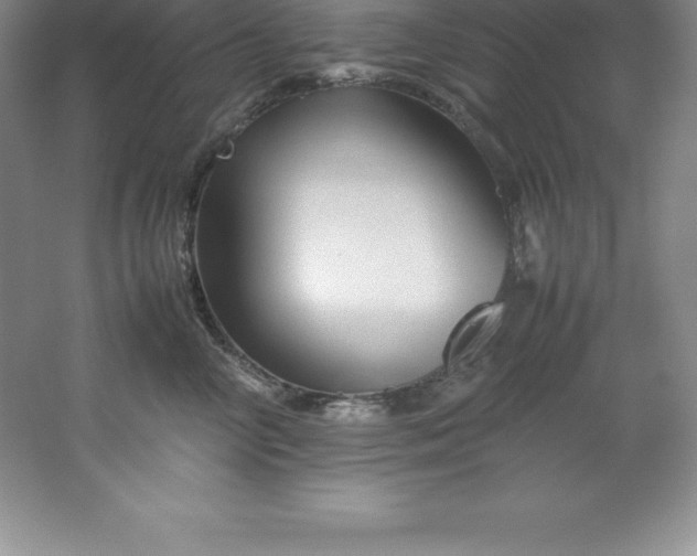 X0000062170714200512231626