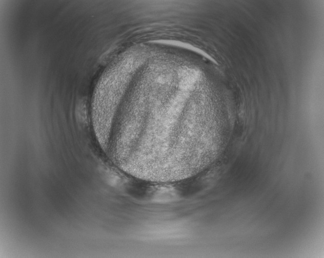 X0000062170715200512231626