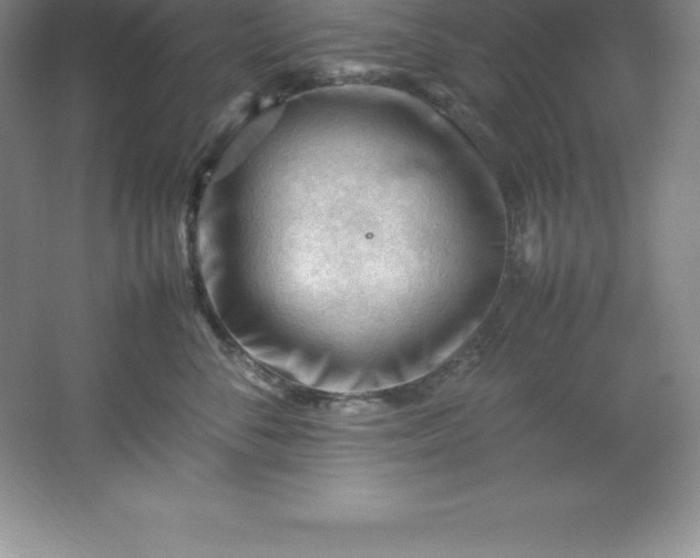 X0000062170716200512231626