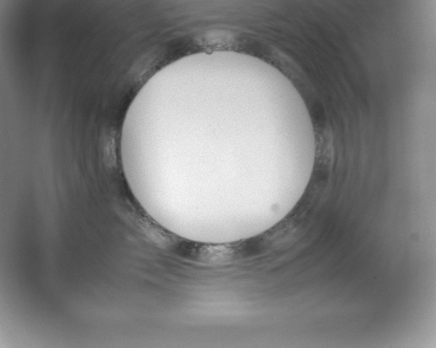 X0000062170717200512231626