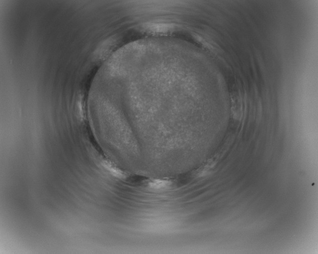 X0000062170718200512231626