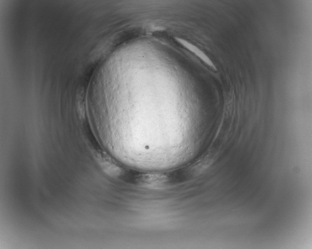 X0000062170719200512231626