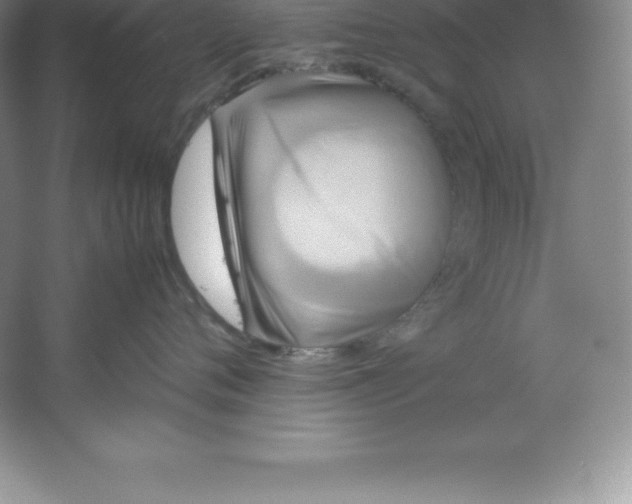 X0000062170720200512231626