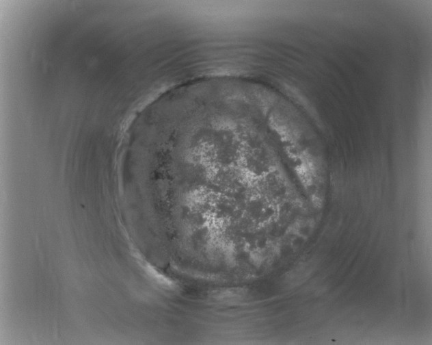 X0000062170721200512231625