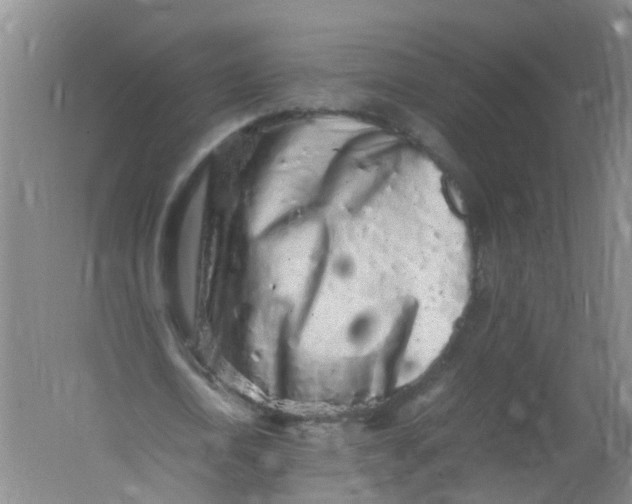 X0000062170722200512231625