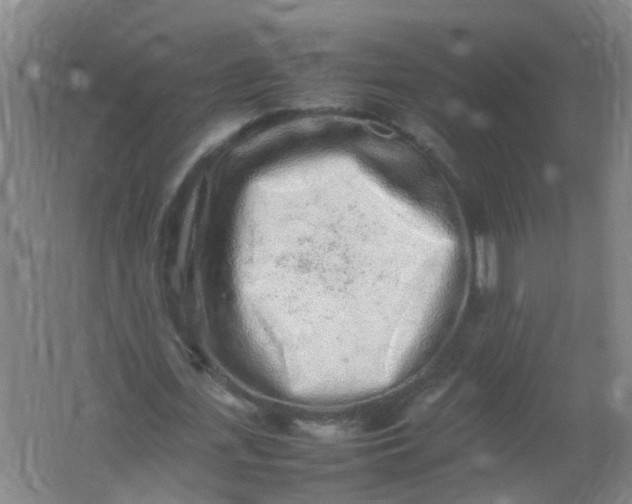 X0000062170723200512231625