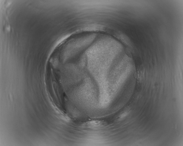 X0000062170724200512231625