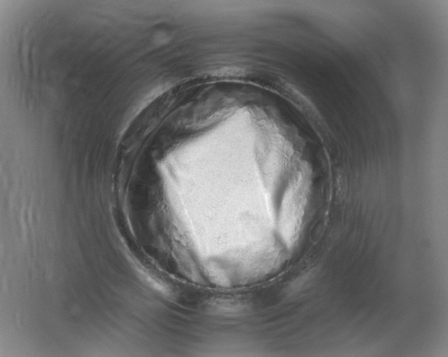 X0000062170725200512231625