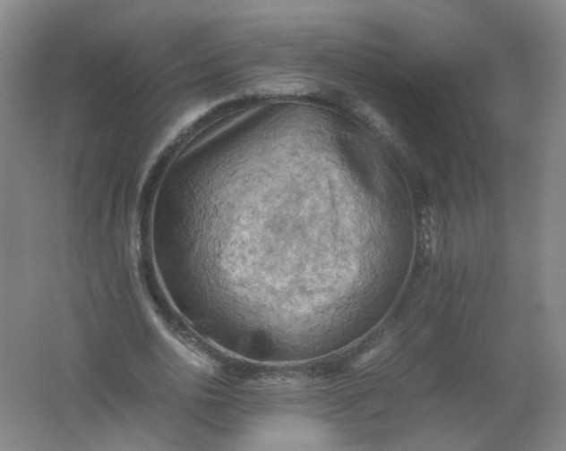 X0000062170726200512231625