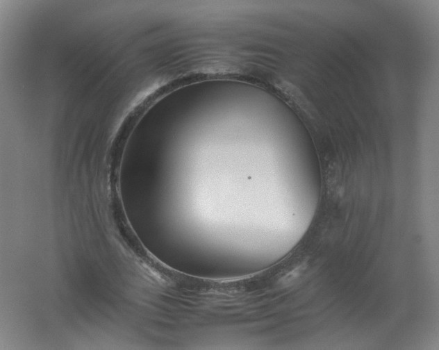 X0000062170727200512231625