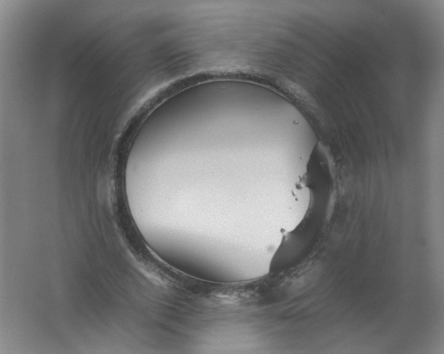 X0000062170728200512231625