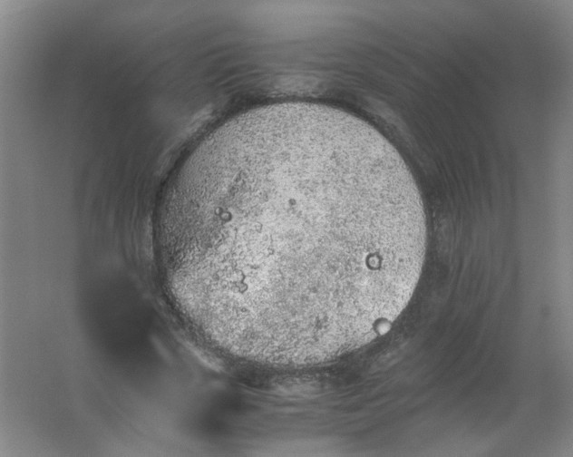 X0000062170729200512231625