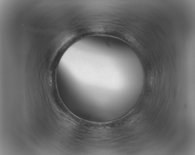 X0000062170731200512231625