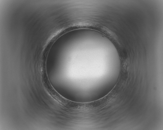 X0000062170732200512231625