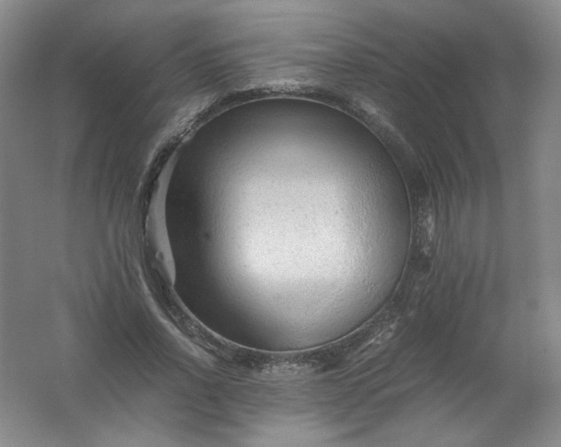 X0000062170734200512231625