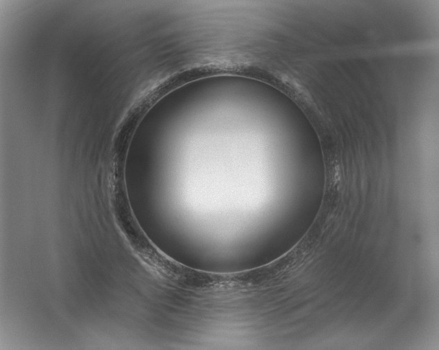 X0000062170736200512231625