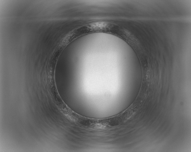 X0000062170737200512231625