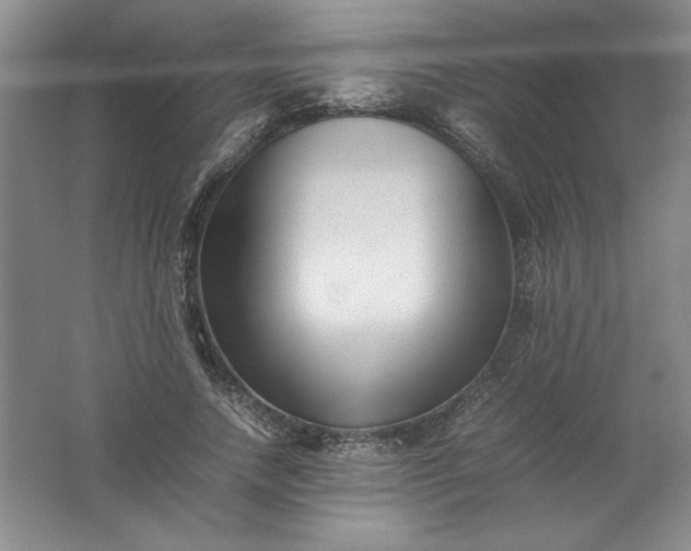 X0000062170738200512231625