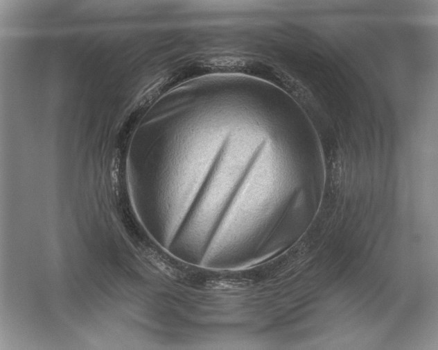 X0000062170739200512231625