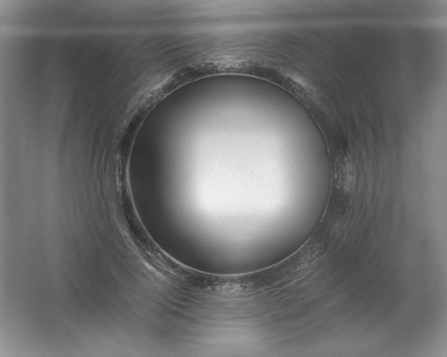 X0000062170740200512231626