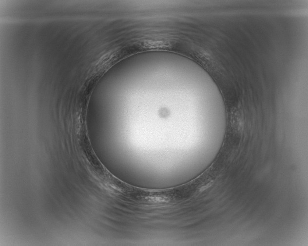 X0000062170741200512231626