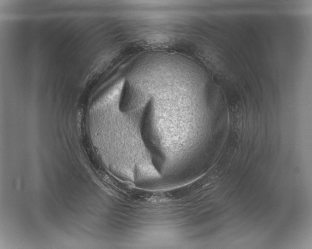 X0000062170742200512231626