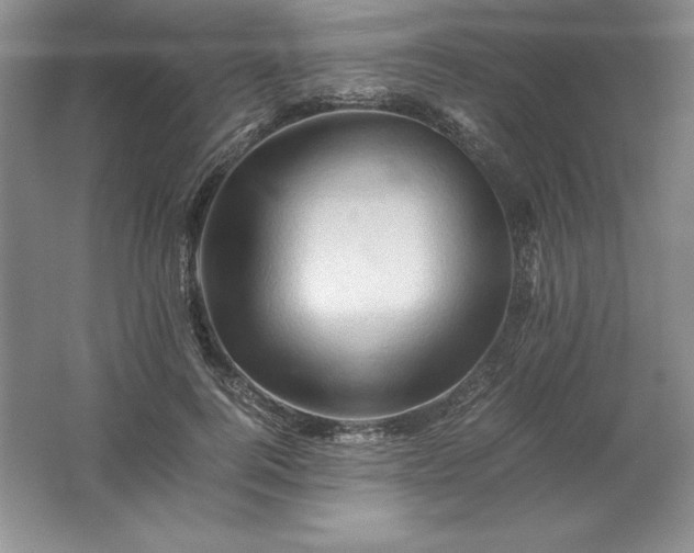 X0000062170744200512231626