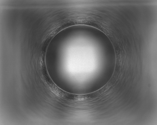 X0000062170746200512231626