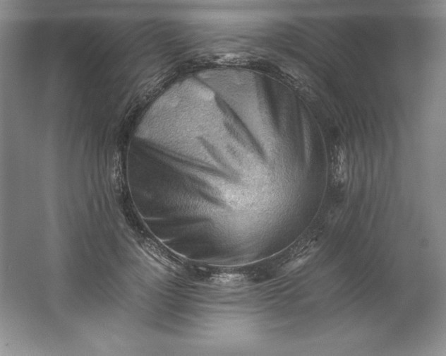 X0000062170748200512231626